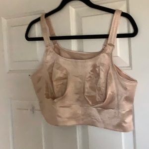 Ruby Ribbon Damietta